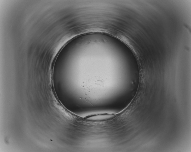 X0000099461140200805231800