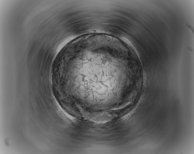 X0000099461141200805231800