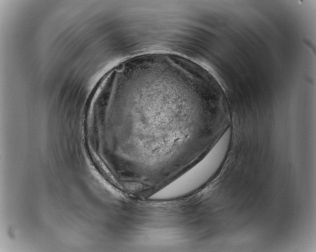 X0000099461142200805231800