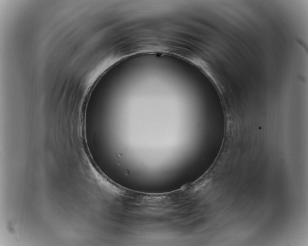 X0000099461143200805231800