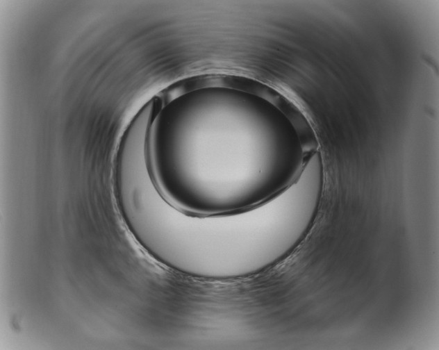 X0000099461144200805231800