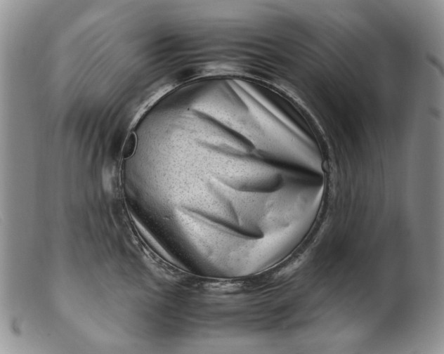 X0000099461145200805231800