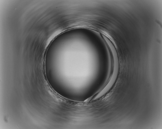 X0000099461146200805231800