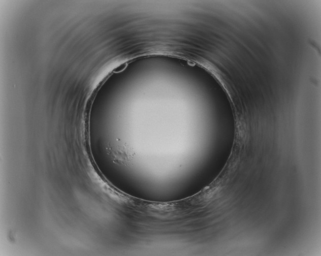 X0000099461147200805231800