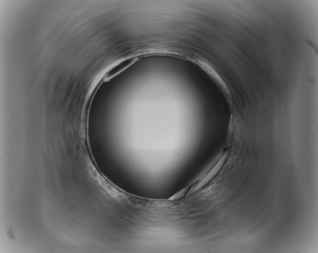 X0000099461148200805231800