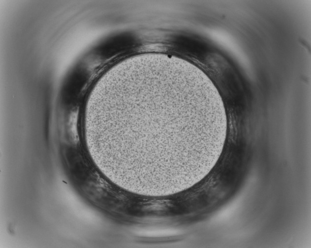 X0000099461150200805231800