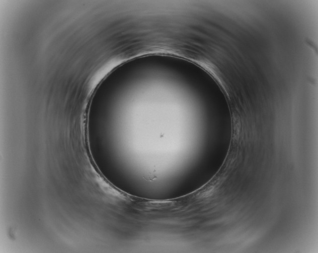 X0000099461151200805231800