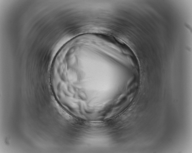 X0000099461152200805231800