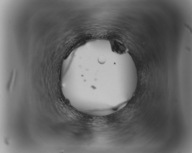 X0000099461153200805231800