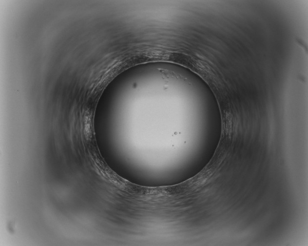 X0000099461154200805231759