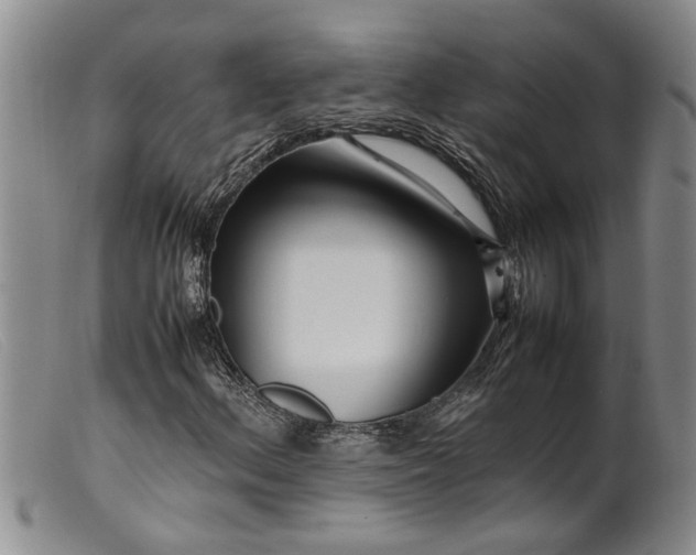 X0000099461156200805231759