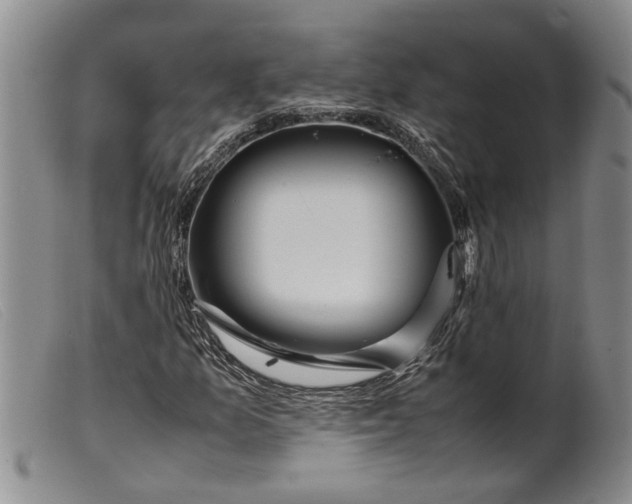 X0000099461157200805231759