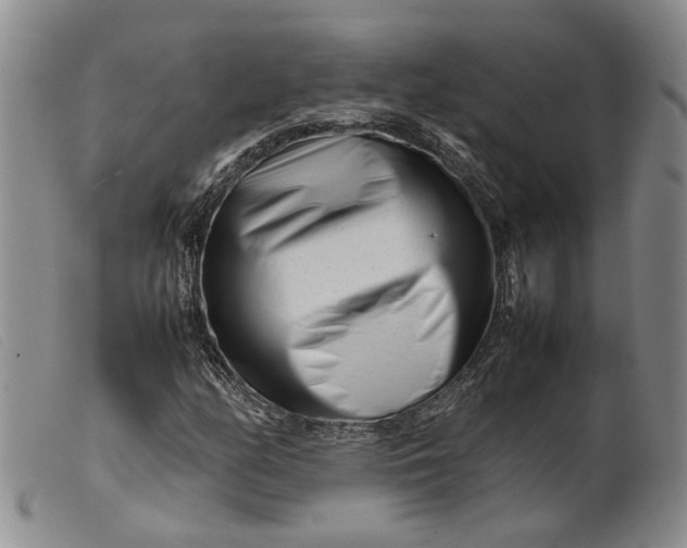 X0000099461158200805231759