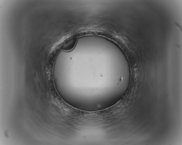 X0000099461159200805231759