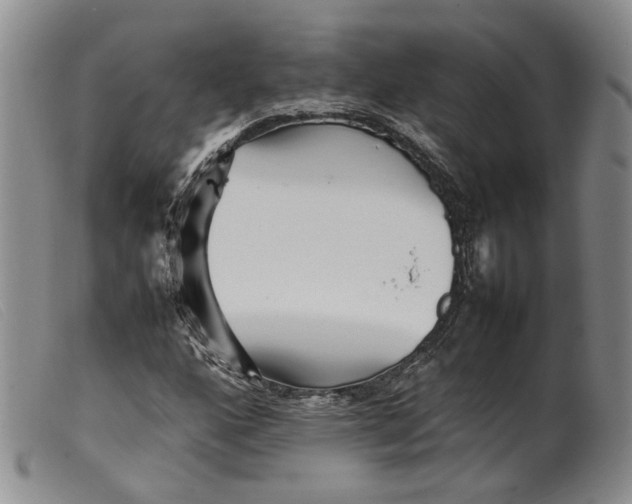 X0000099461160200805231759