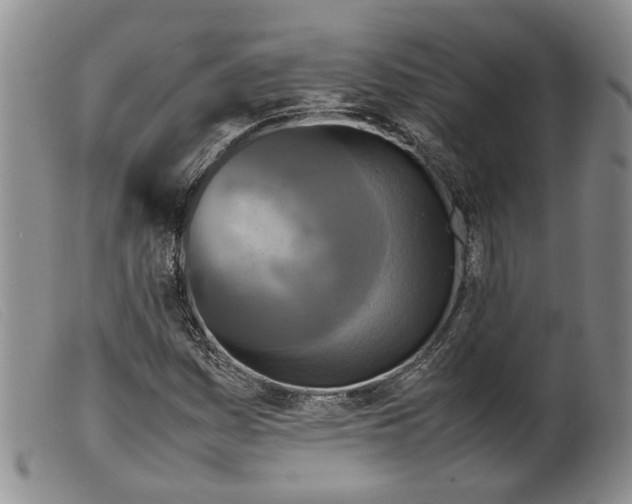 X0000099461161200805231759