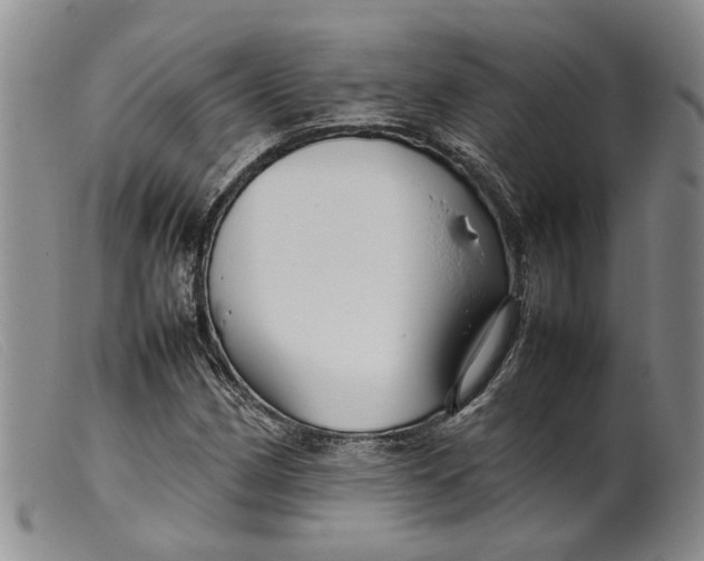 X0000099461162200805231759