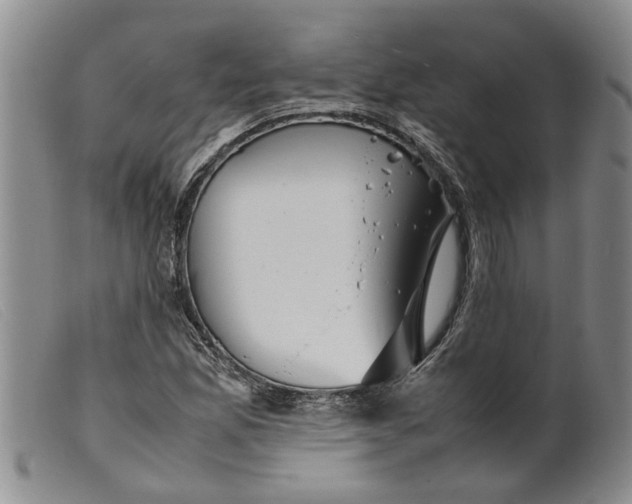 X0000099461165200805231759