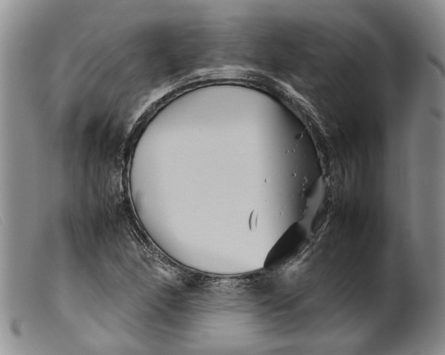 X0000099461166200805231759