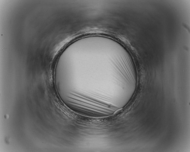 X0000099461167200805231759