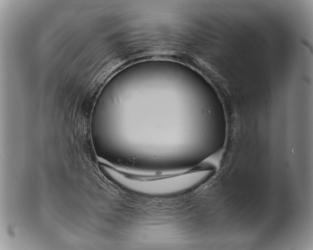 X0000099461169200805231759