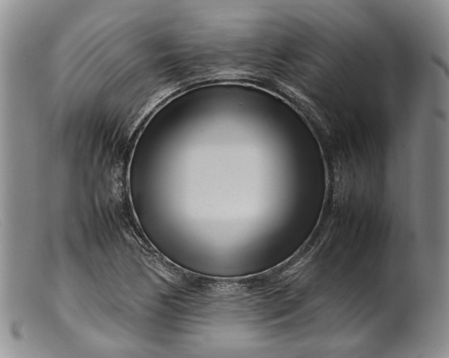 X0000099461170200805231759