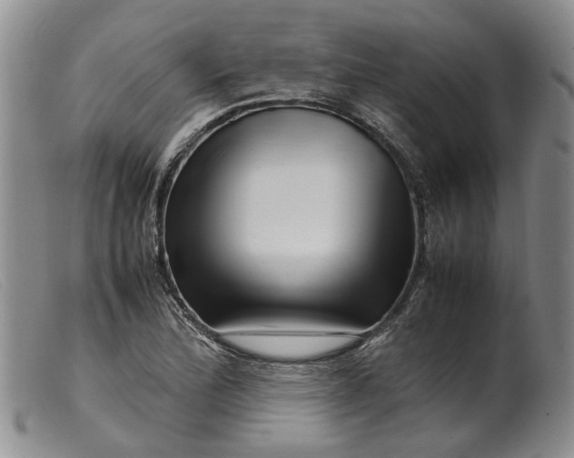 X0000099461172200805231759