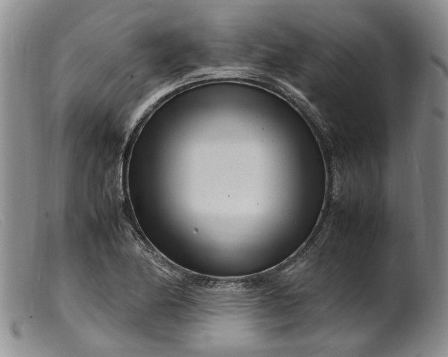 X0000099461174200805231759