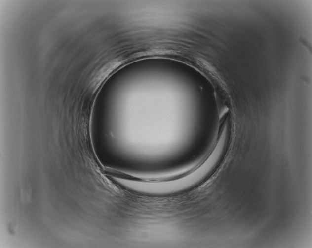 X0000099461177200805231759