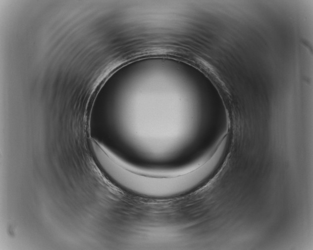 X0000099461178200805231759