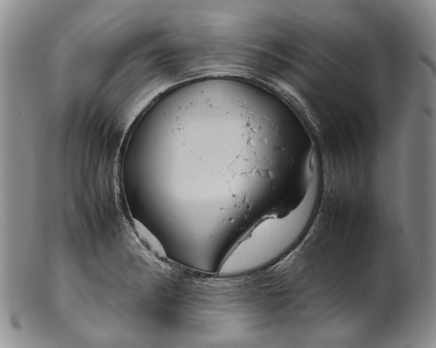 X0000099461182200805231759