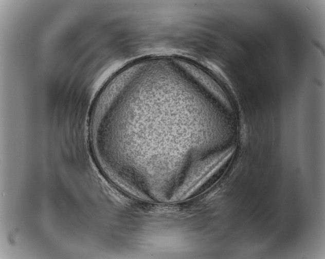 X0000099461183200805231759