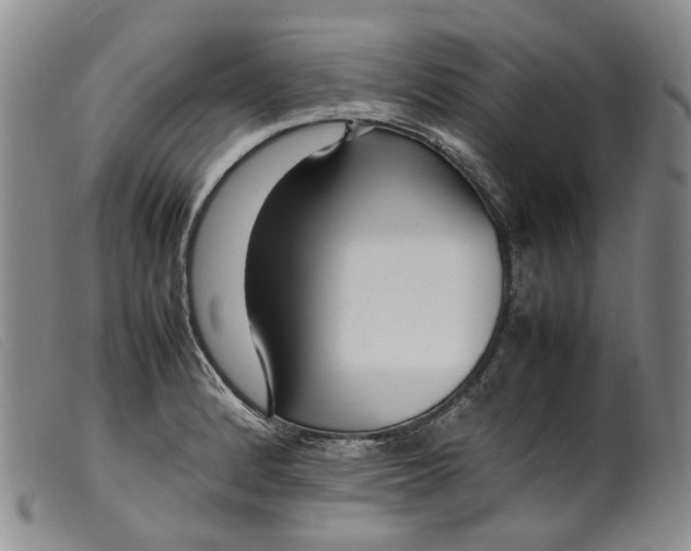 X0000099461184200805231759