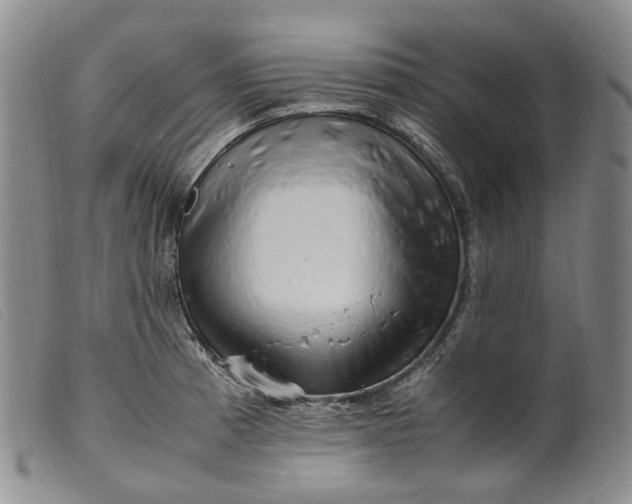 X0000099461185200805231759