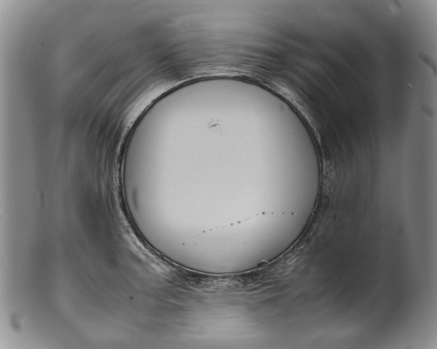 X0000099461187200805231759