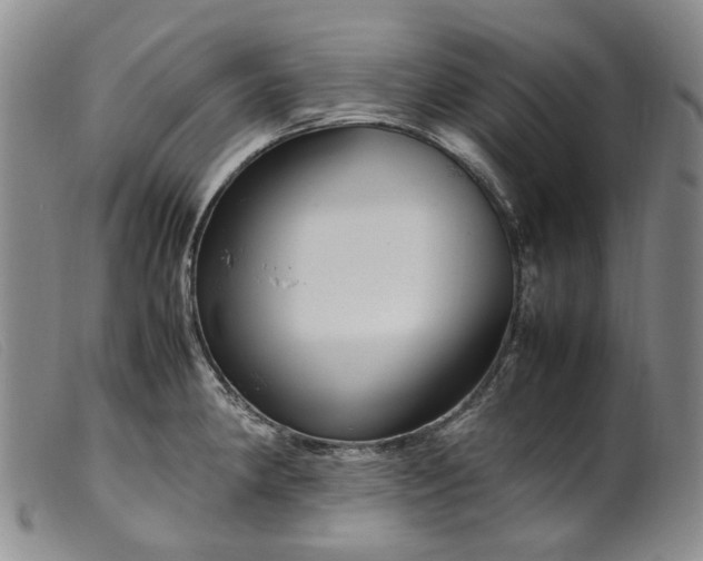 X0000099461190200805231759