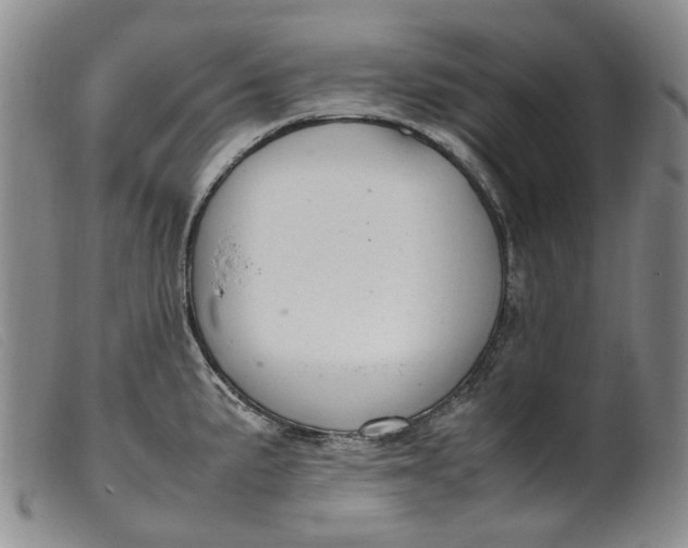 X0000099461191200805231759