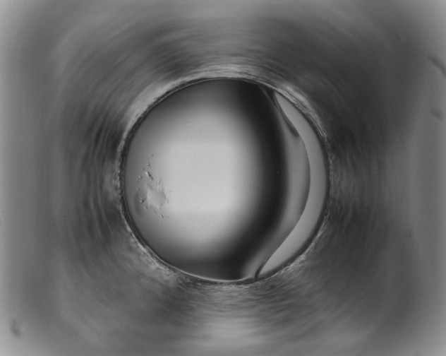 X0000099461192200805231759