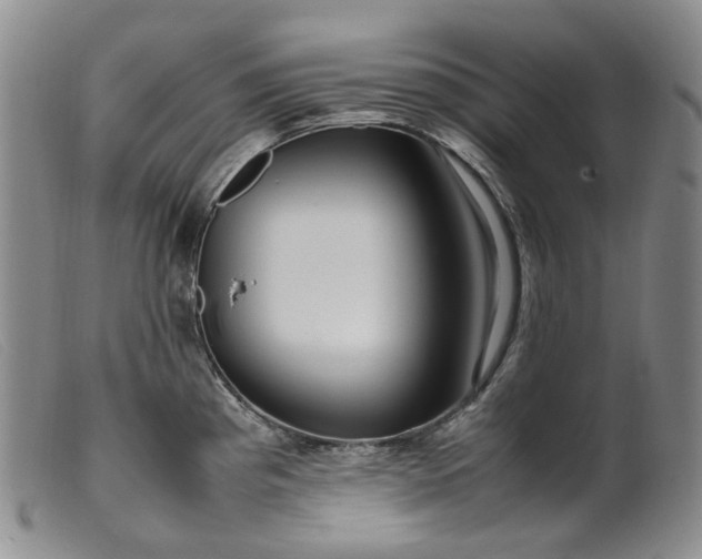 X0000099461193200805231759