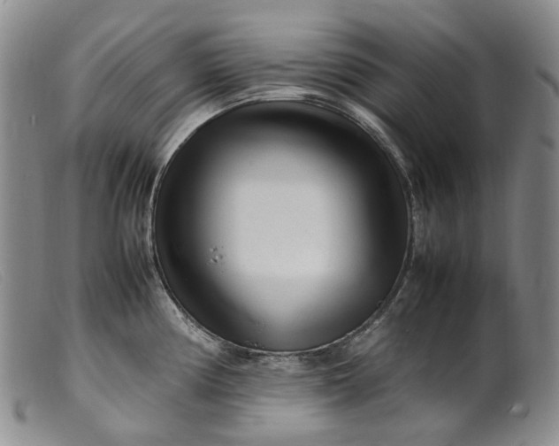 X0000099461194200805231759