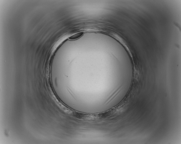 X0000099461195200805231759