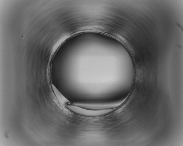 X0000099461196200805231759