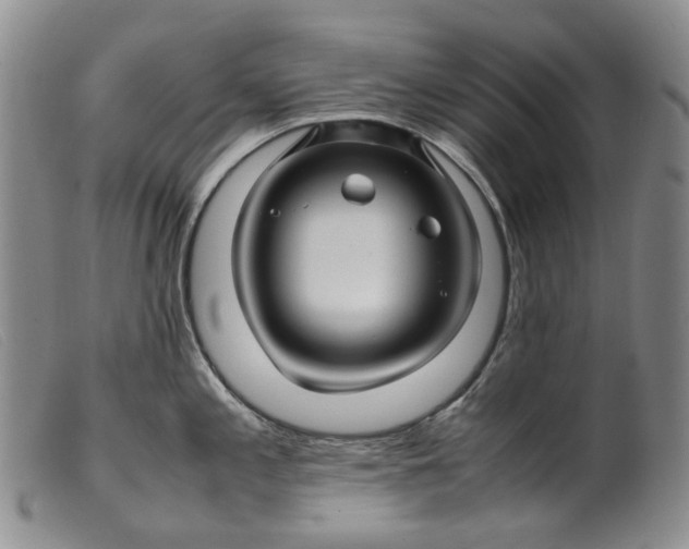 X0000099461197200805231759