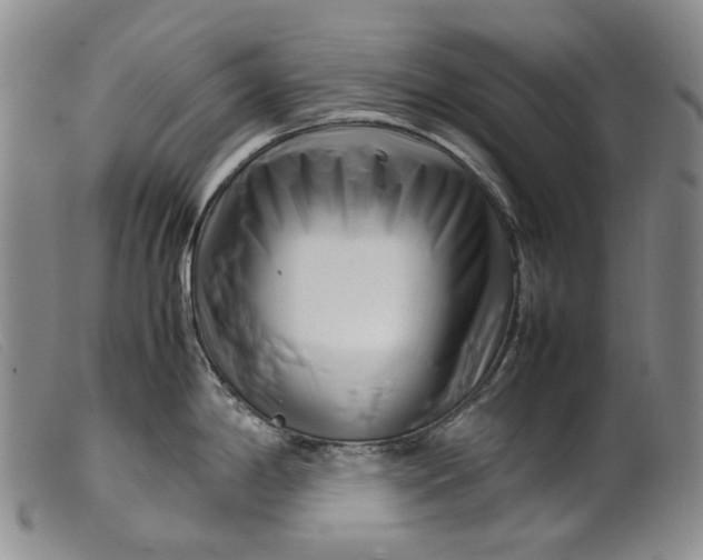 X0000099461198200805231759