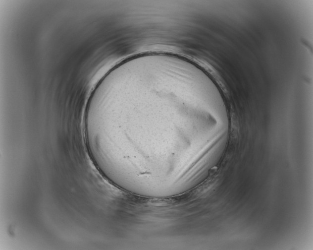 X0000099461199200805231759