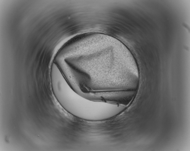 X0000099461200200805231759