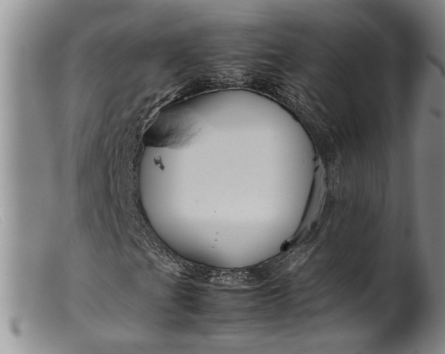 X0000099461201200805231758