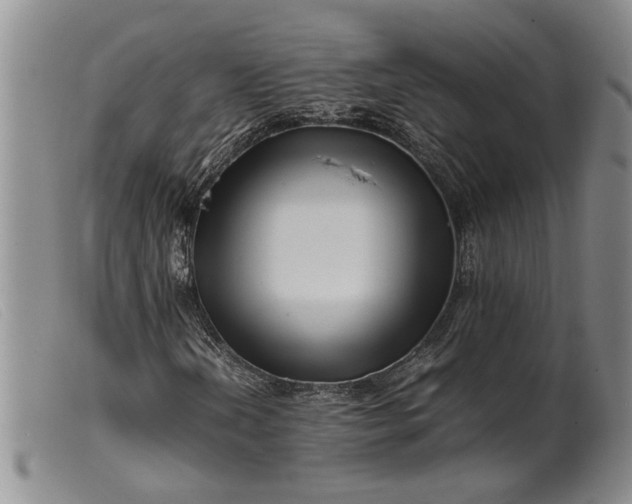 X0000099461202200805231758