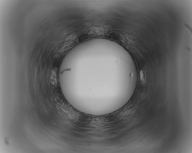 X0000099461203200805231758