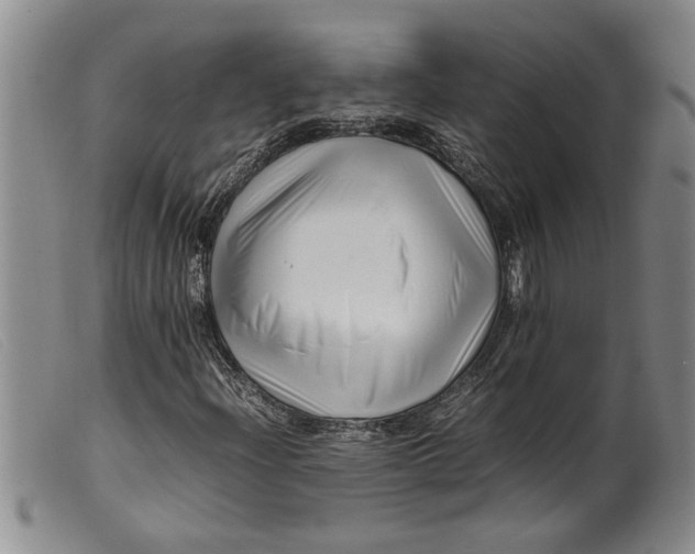 X0000099461204200805231758